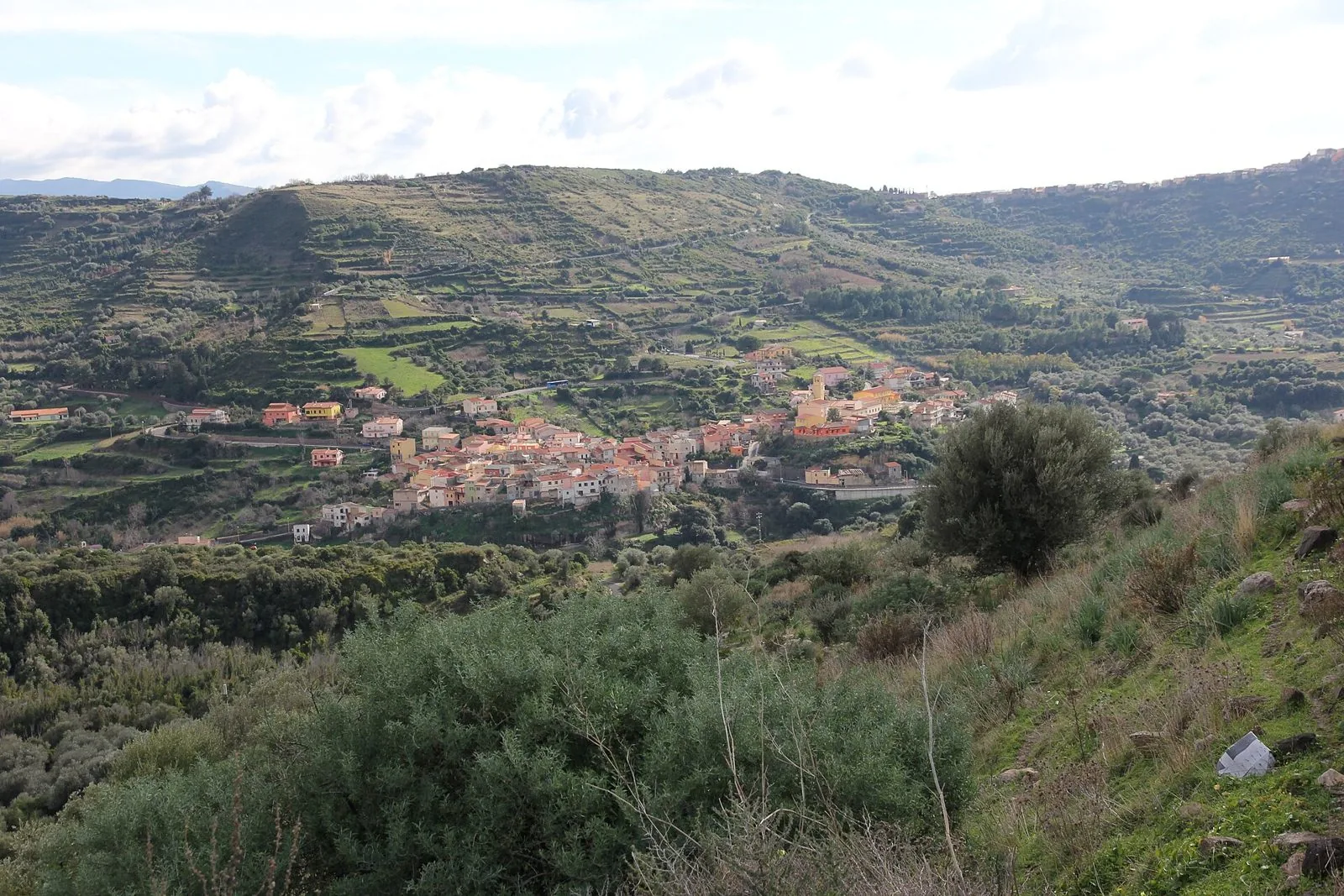 La valle di Modolo con i terrazzamenti coltivati, nella zona di produzione della Malvasia di Bosa