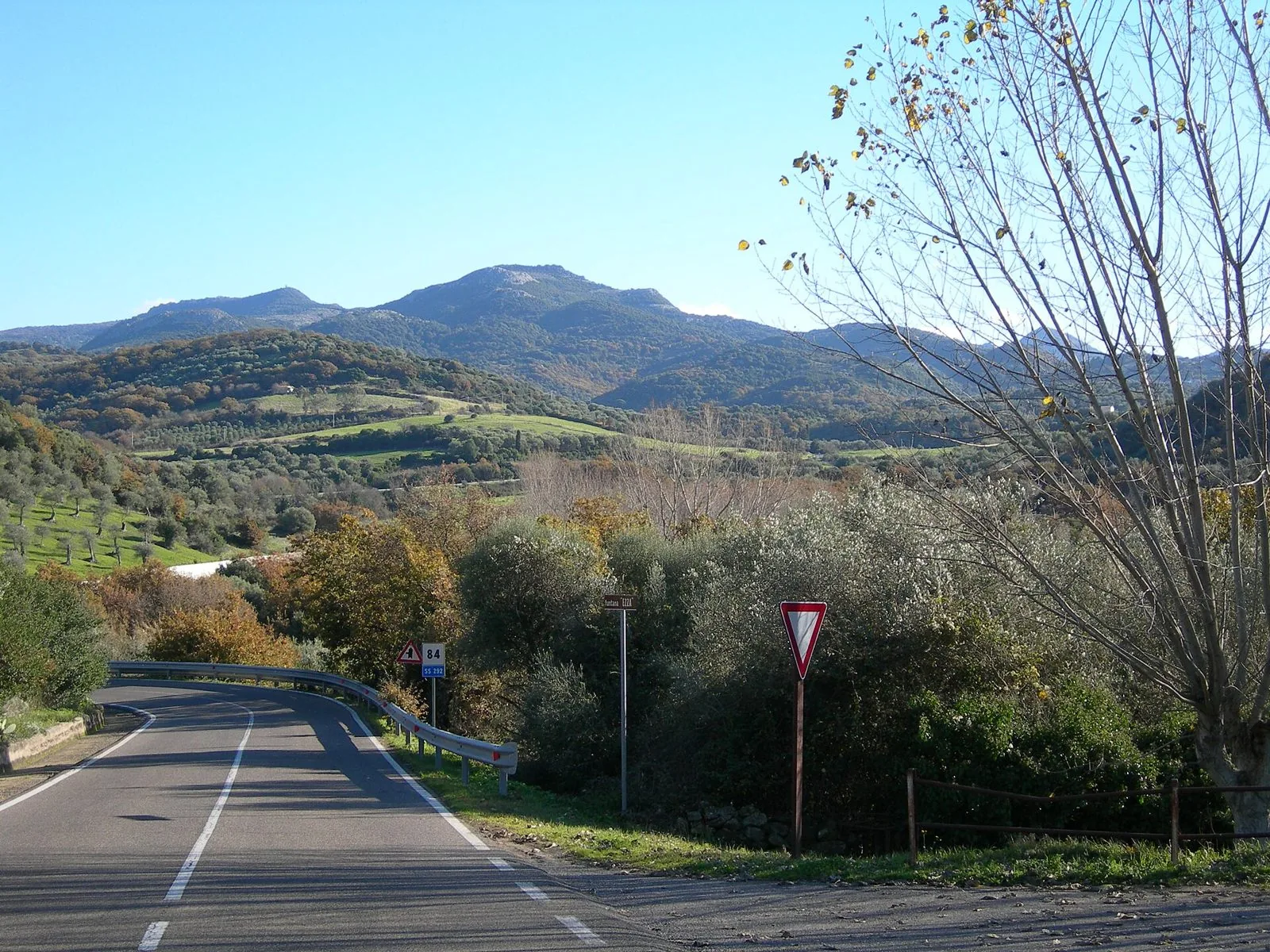 Una curva della strada statale 292 tra uliveti e colline, con i rilievi del Montiferru sullo sfondo
